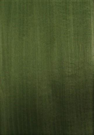 Dyed Green Tulip 1020